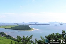 신안 증도 한반도 해송 숲 관광자원화 사업 탄력
