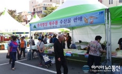 대구시청 주차장서 추석맞이 직거래장터 개장