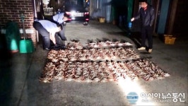 포항 하정항서 대게 불법포획사범 현장 검거