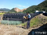 금산서, 인삼 절도 예방 활동 박차