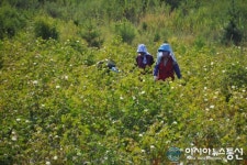 ‘육지면 발상지’고하도, 국가 공모사업 선정