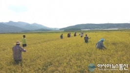 제2회 강진작천메뚜기축제 성공기원 메뚜기잡기행사 추진