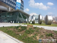 세종시 청사 앞마당에 덩그러니 남아있는 장송 ‘밑동’