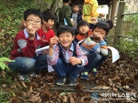 영동 용화초, 숲 해설가와 함께한 가을 숲체험교실 인기