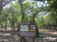 산림청, 올해 ‘전통 마을숲’ 41곳 복원