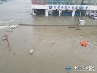 태풍 ‘차바’, 창원시 진해구 의창수협 위판장 침수