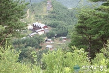 양양 송이밸리자연휴양림 ‘인기’