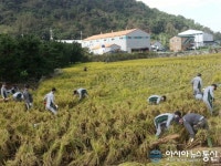 육군39사단 김해대대 태풍 차바 피해지역 대민지원 구슬땀...