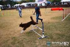 반려동물 어울림 한마당 1만여명 참가 큰 호응