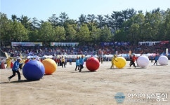 대구 어르신 한마당대축제…경로체육대회 열려
