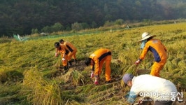 의령소방서, 부족한 농촌일손돕기
