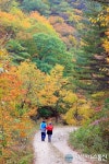 최고의 가을여행...울진서 힐링에 빠지다