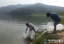 고령군, 내수면 토산어종 치어 방류