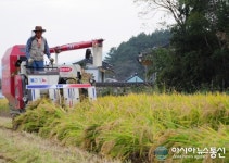 마산합포구 진전면, 수확의 계절 막바지 가을걷이 한창