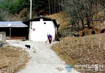 늦가을, 산중서 기다림을 보다