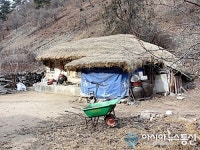 늦가을, 산중서 기다림을 보다