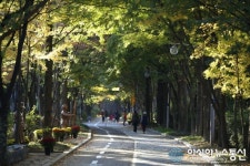 숲속길 만화 보며 걸어요, 부천 상동 ‘숲속만화로’ 탄생