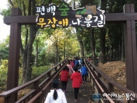 편백숲 무장애 나눔길, 산림탄소상쇄사업 등록