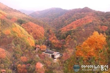 오색 단풍의 유혹…영동 민주지산 자연휴양림, 관광객 이어져