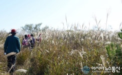 달성군, 명품 비슬산 둘레길 알리기 본격화