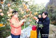 권영세 안동시장, 가을철 농촌일손돕기 나서