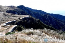 창녕 화왕산 억새평원 장관