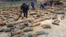 영천시, 사랑의 땔감 나누어주기