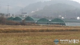 고성군, 오리농장서 AI 발생