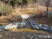 강서구, 봉제산 무허가촌, 생태연못으로 탈바꿈