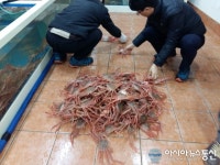경북도, 불법어업 유통 처벌 강화