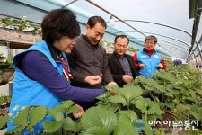 올해 농업현장 경영상태 맞춤형 컨설팅 제공