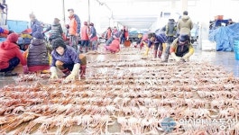 울진대게와 떠나는 상큼쫄깃한 힐링여행