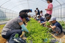 세종시 창조경제혁신센터, 체험형 주말농장 회원 모집