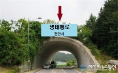 천안시, 금북정맥 생태축 복원사업 ‘30억 투입 본격 추진’