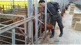 청송군, 구제역 예방 백신 접종 완료