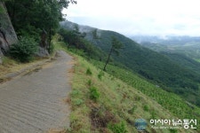 보령 성주산·옥마산 임도 돈되고 쉼있는 숲길 조성