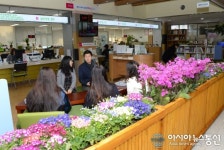 달성군 민원실에 봄 향기 가득