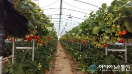 진주시, 신선채소 생산시설 현대화 위해 127억 투입