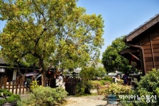 대만 최대 일본풍 마을 히노키빌리지