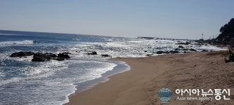 생선비늘처럼 튀어오르는 울진대게 원조마을 거일바다