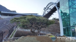 산청군 단성면 노송, 동의보감촌서 장생 꿈꾼다!