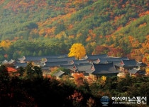 청도군 운문산군립공원, 국립공원 수준 생태계진단 실시