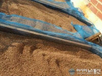 이강안 센터장이 방문한 시골장터 괴산 차부 방앗간