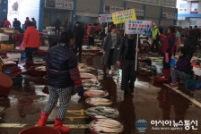 진도군, 암 예방의 날 홍보 캠페인 실시