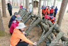 영양 검마산자연휴양림 표고버섯 체험프로그램 운영