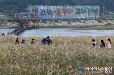 강진군 군단위 전국 최초 K-POP 콘서트 유치