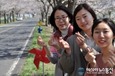 마산합포구 진전면, ‘창원광역시 승격염원 바람개비 벚꽃길’ 눈길