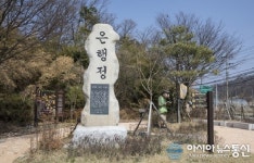 증평 도안 은행정 마을, 다양한 도깨비 프로그램 도입