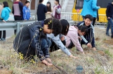 (포토)청풍초·중학교 학생들 “식목일 나무를 심어요”