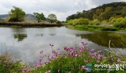 창녕 우포늪, 탐방로 부분개방